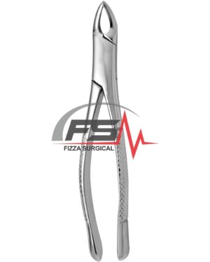 American Pattern Dental Extracting Forceps