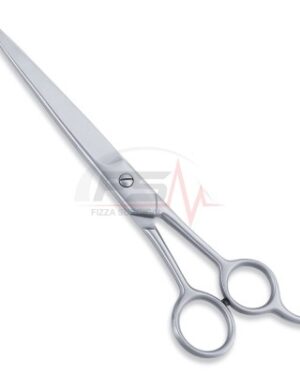 Economy Hair Scissors