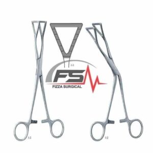 Lung grasping forceps