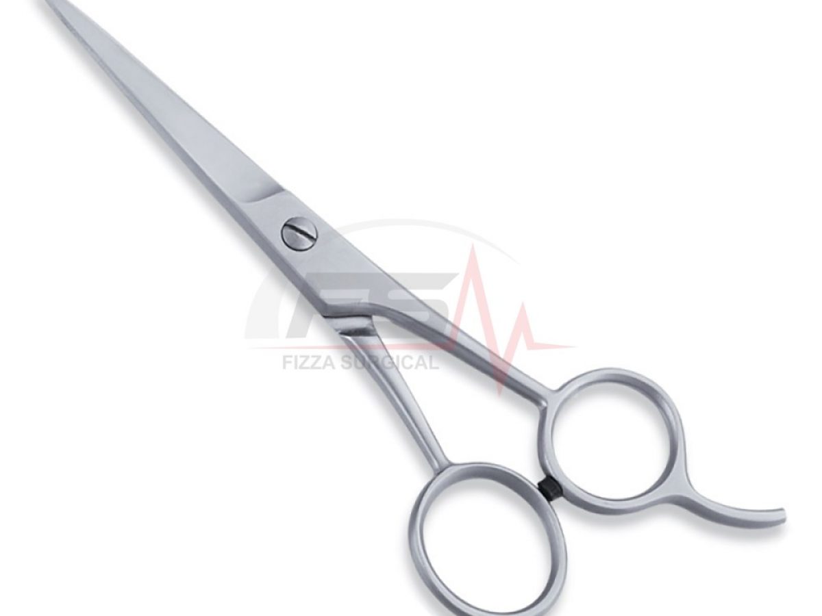 Economy Hair Cutting Scissors — Bumper-Equipped 1 Economy Hair Cutting Scissors With Bumber