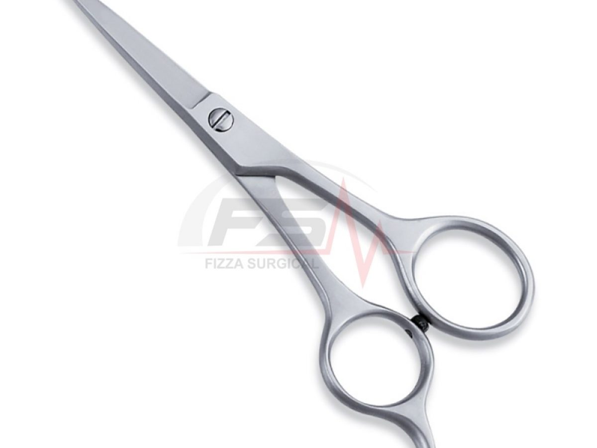 Economy Hair Cutting Scissors — Sharp Edition 1 Sharp Economy Hair Cutting Scissors