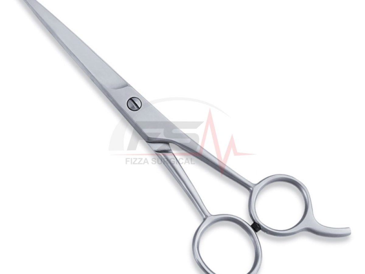 Economy Hair Scissors — Standard Cutting 1 Economy Hair Scissors