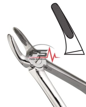 Extracting Forceps Fig.30 English Pattern Upper Root