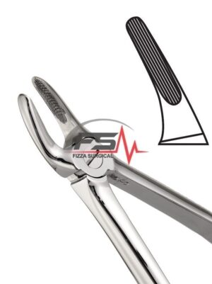 Extracting Forceps Fig.30 English Pattern Upper Root
