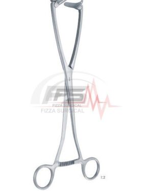 Collin 250mm Uterine Seizing Forceps