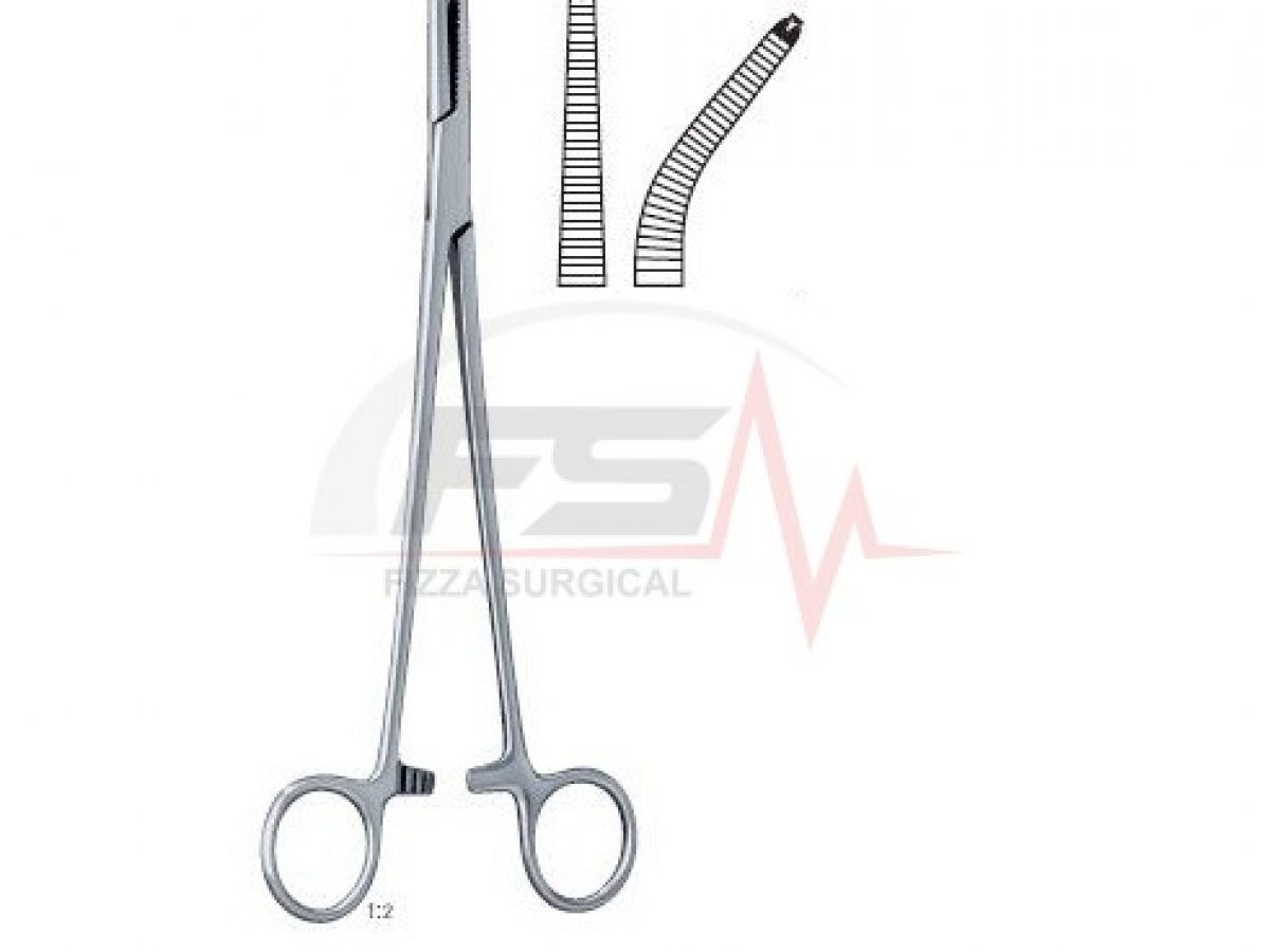 Phaneuf Hemostatic Forceps 1 Phaneuf Hemostatic Forceps