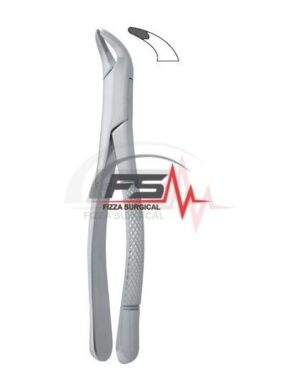 Extracting Forceps - American Pattern -Fig.203 – Lower Incisors And Roots