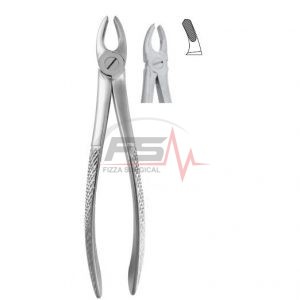 Extracting Forceps English Pattern -Fig.39 R - Upper Molars Right,For Children 1 Extracting Forceps English Pattern -Fig.39 R - Upper Molars Right,For Children