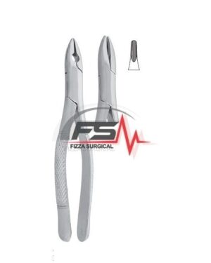 Henahan - Extracting Forceps English Pattern -Fig.1 B - Upper Incisors And Roots