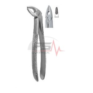 Mead - Extracting Forceps English Pattern -Fig.MD 1 - Upper Arteries - Roots 1 Mead - Extracting Forceps English Pattern -Fig.MD 1 - Upper Arteries - Roots