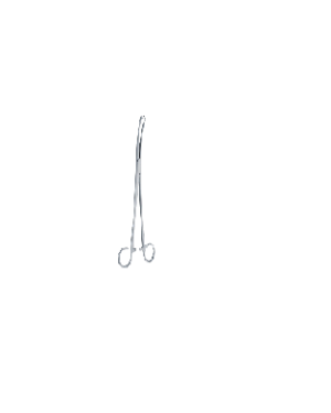 White -Tonsil instruments - ENT