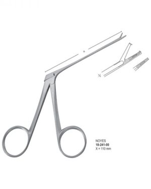 Littauer – Nasal polypus – ENT