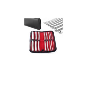 Hegar Dilator Urethral Uterine Sounds Surgical Gyne Instruments 8 PCs Set CE