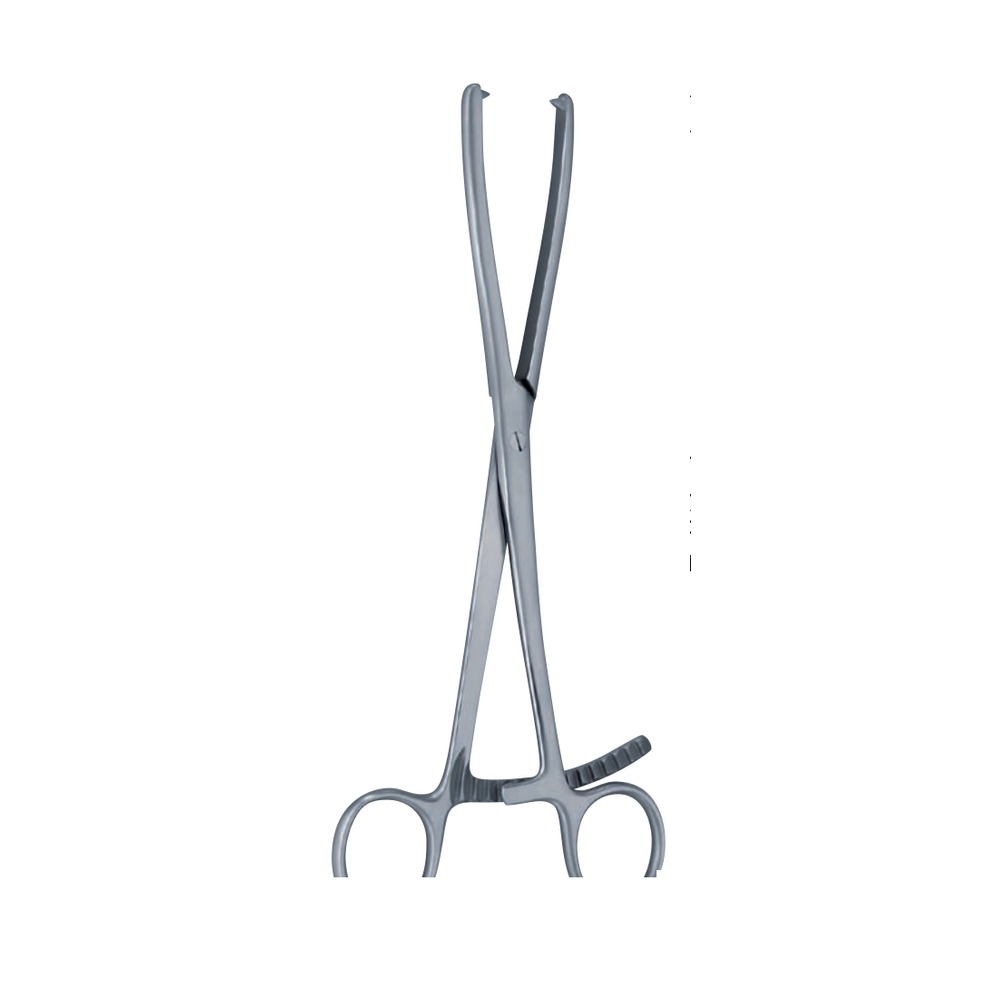 Malleolar Forceps 210mm 21cm 1 BS 14-1013-01