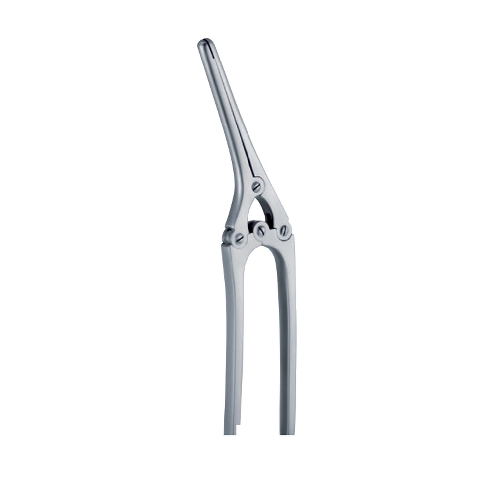 Payr-Baby with pin 150mm 15cm 1 IS 08-100-01