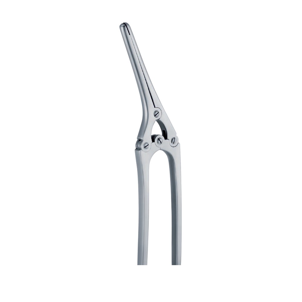 Payr 1:1 1:1 210 mm – 81/4 " 290 mm – 111/2 " 1 IS 08-105-01