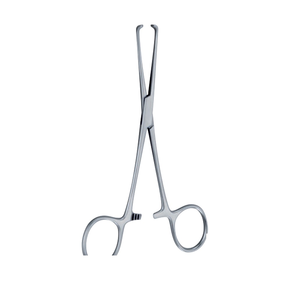 Allis-Baby Tissue Forceps — 4×5 Teeth, 140 mm (14 cm) 1 TI 08-10-02
