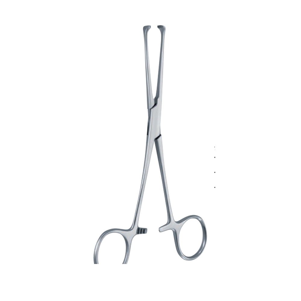 Allis-Atrauma Tissue Forceps — 200 mm (20 cm) 1 TI 08-85-02