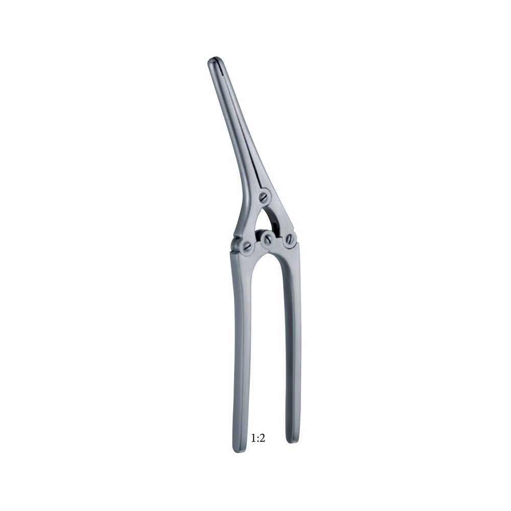 Payr-Baby with pin 150mm 15cm 1 Payr-Baby with pin 150mm 15cm