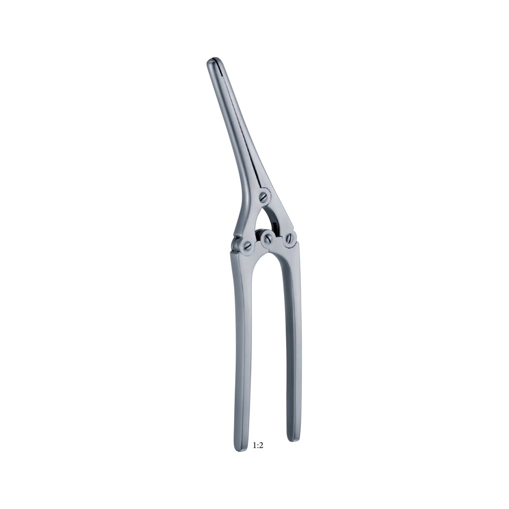 Payr 1:1 1:1 210 mm – 81/4 " 290 mm – 111/2 " 1 Payr 1:1 1:1 210 mm – 81/4 ” 290 mm – 111/2 “