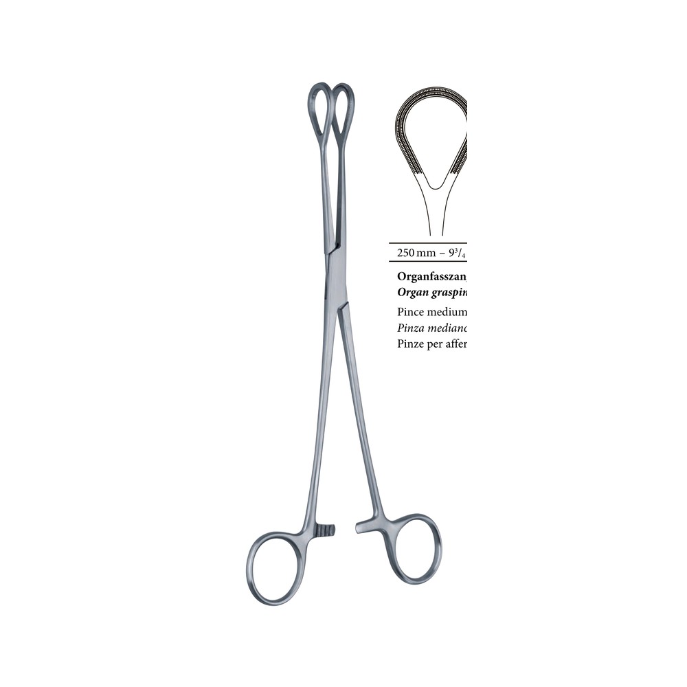 Organ grasping forceps large, 260 mm 260mm 26cm 1 Organ grasping forceps large, 260 mm 260mm 26cm
