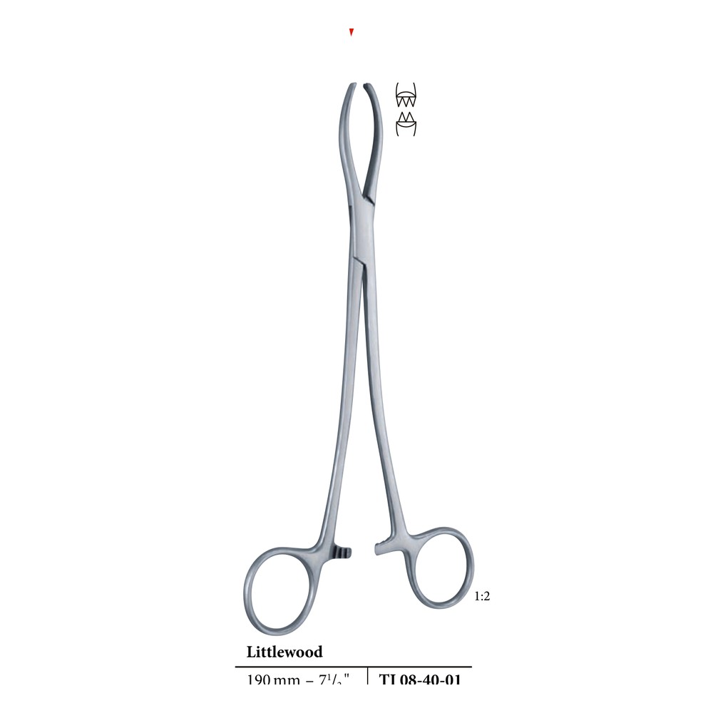 Littlewood Teeth 2x3 190mm 19cm 1 Littlewood Teeth 2×3 190mm 19cm
