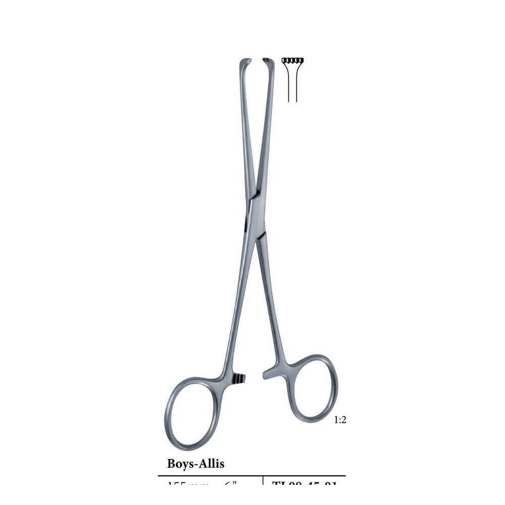 Boys-Allis Tissue Forceps — 5×6 Teeth, 255 mm (25.5 cm) 1 Boys-Allis Tissue Forceps — 5×6 Teeth, 255 mm (25.5 cm)