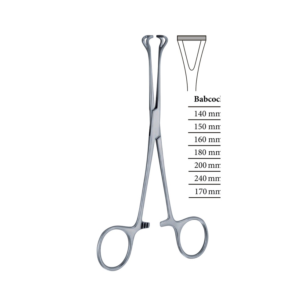 Babcock Tissue Forceps — 170 mm (17 cm) 1 Babcock Tissue Forceps — 170 mm (17 cm)