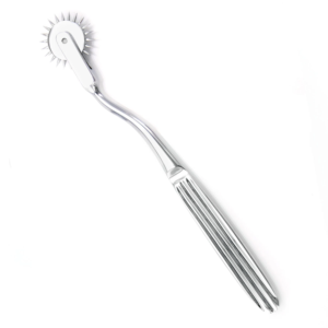 Wartenberg Pinwheel BDSM Stainless Steel