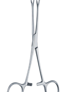 Williams Forceps