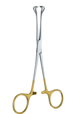 Babcock Forceps