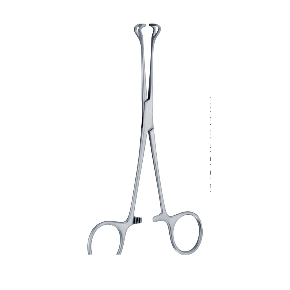Babcock Forceps 1 TI 08-60-00