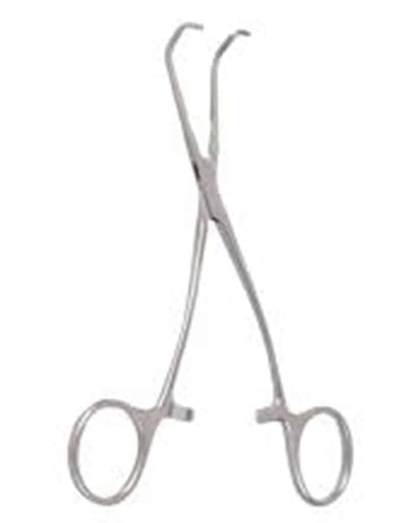 Castaneda Clamps 1 castaneda clamps