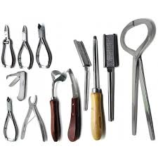 Veterinary Instruments