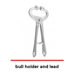 bull holder and lead