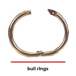 bull rings