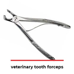 veterinary tooth forceps