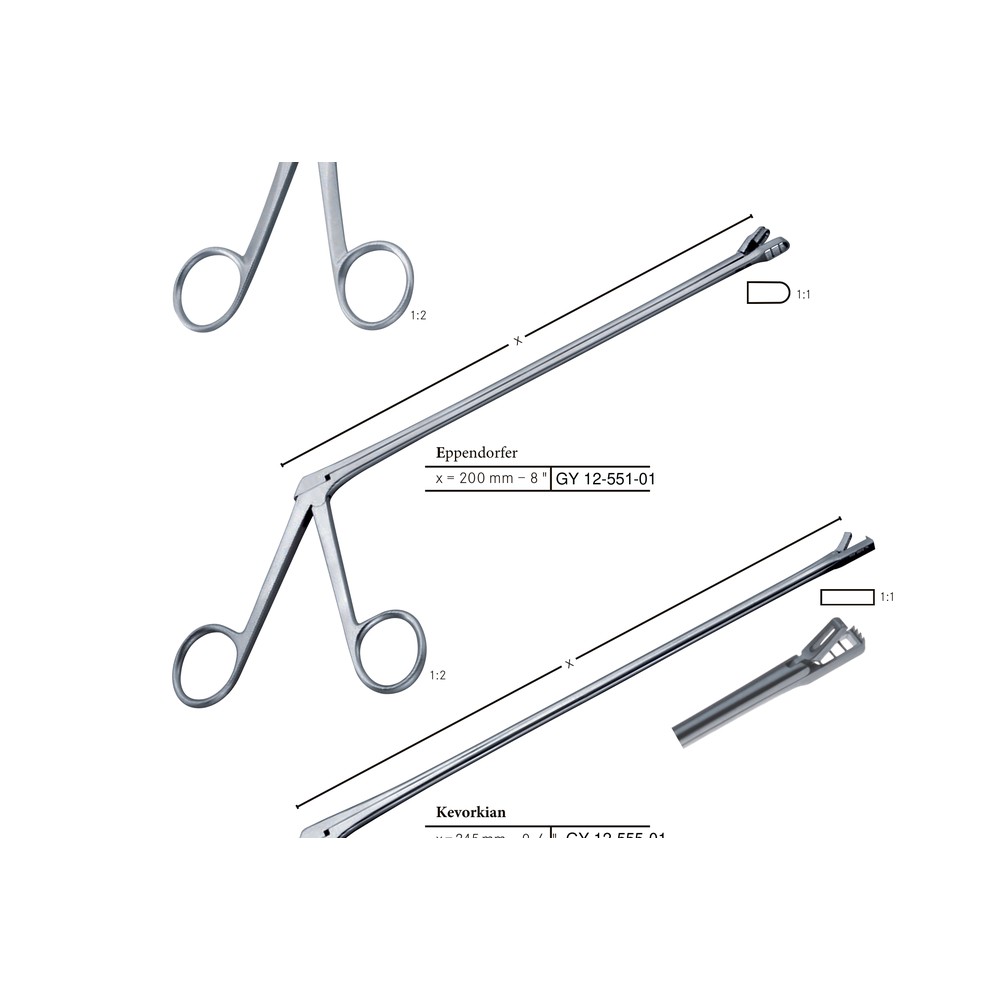 Eppendorfer Cervical Biopsy Forceps 1 GY 12-551-01