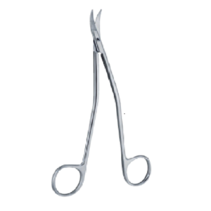 Dandy 170mm 17cm Dura scissors