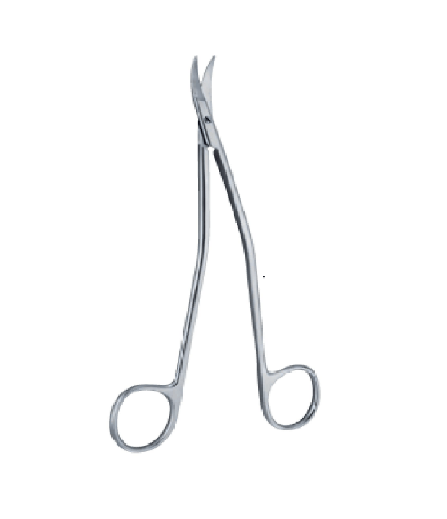 Dandy Dura Scissors — 17 cm 1 Dandy 170mm 17cm Dura scissors