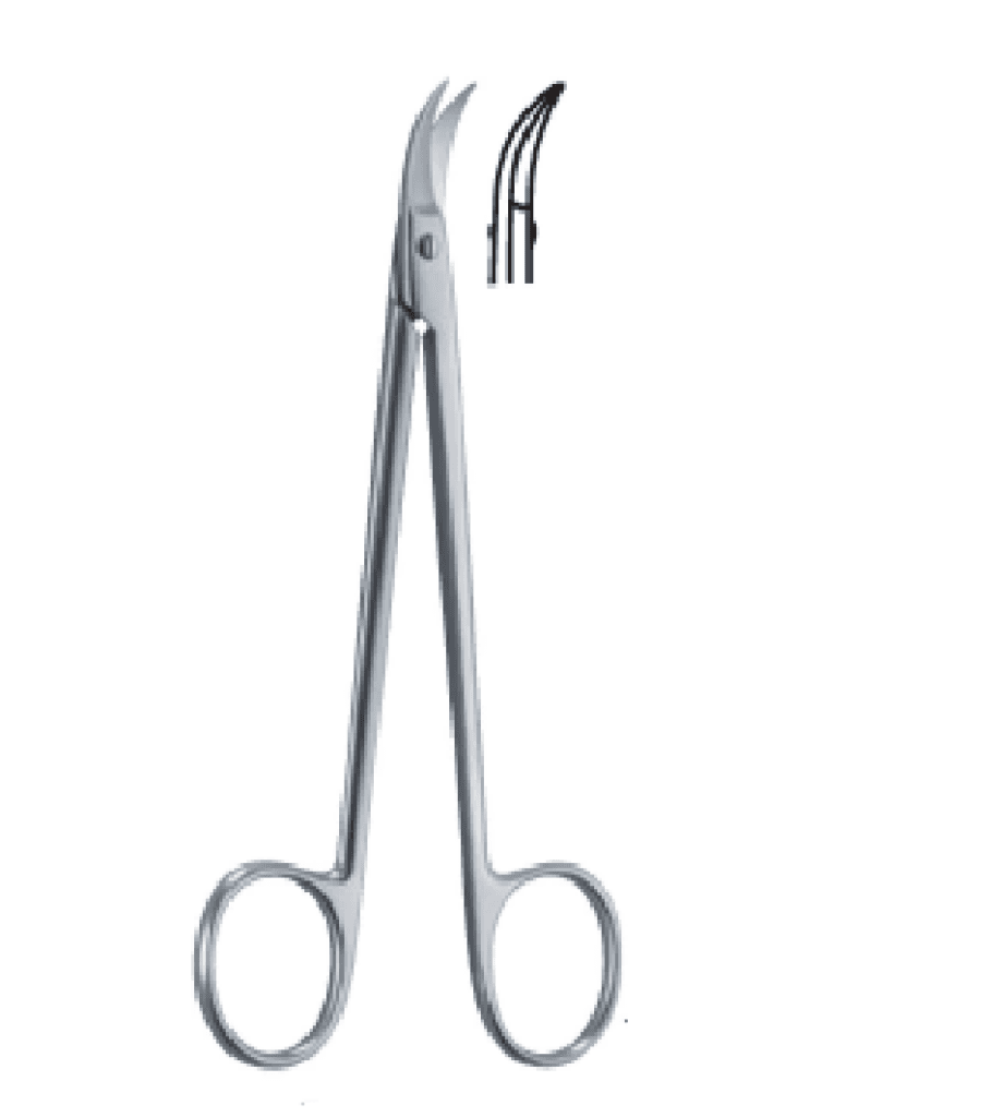 Quinby Fine Scissors — 12.5 cm 1 Quinby 125mm 12.5cm Fine scissors