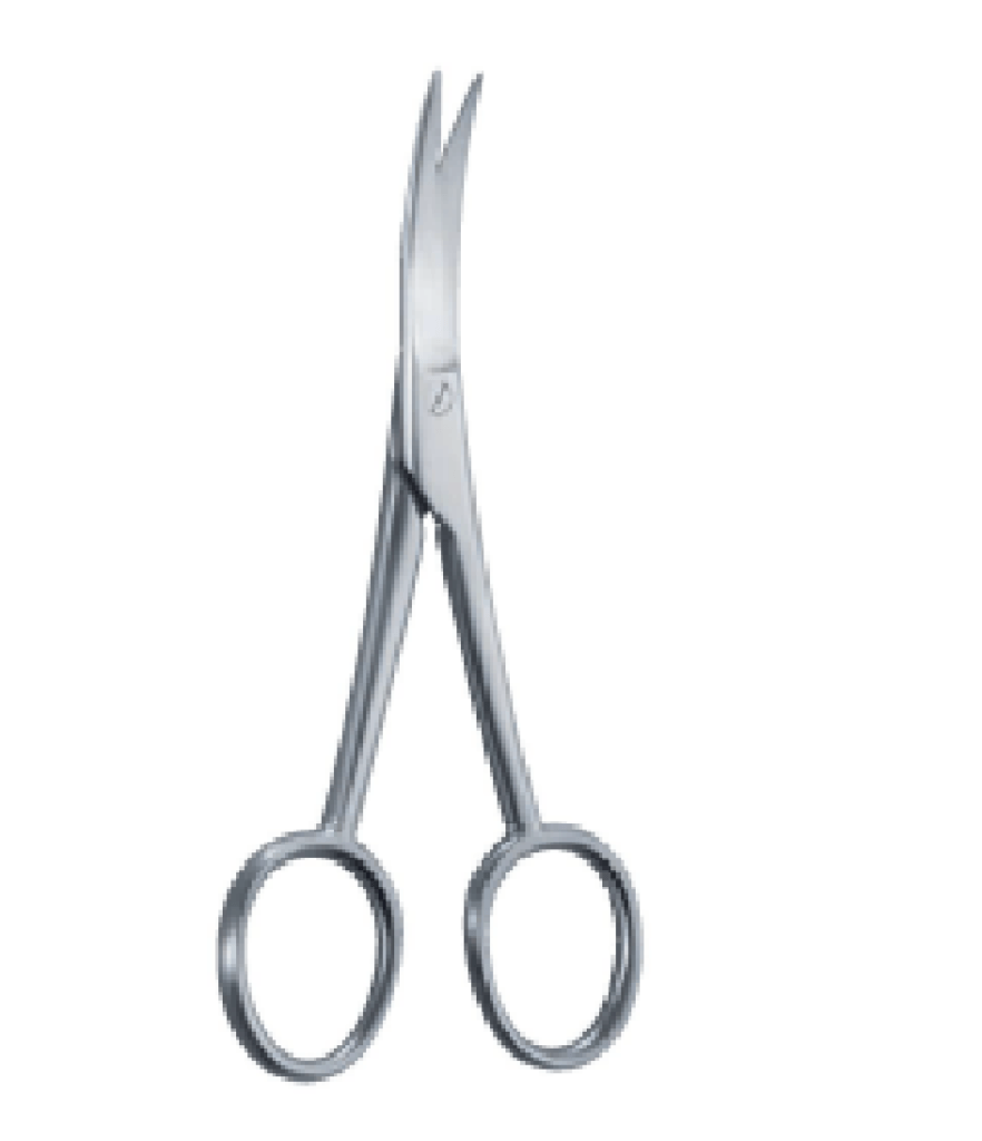 Anatomy Scissors — Curved, 11.5 cm 1 115mm 11.5cm Anatomy scissors