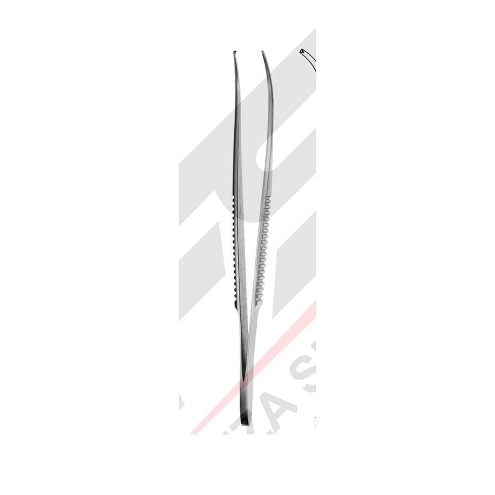 Tissue Forceps — 125 mm (12.5 cm), Pattern 179-02 1 DF 03-179-02