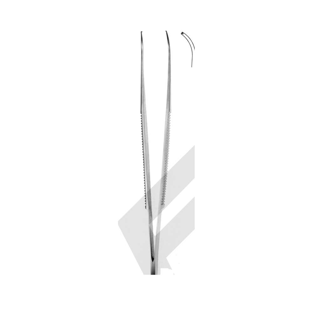 Tissue Forceps — 125 mm (12.5 cm), Pattern 181-02 1 DF 03-181-02