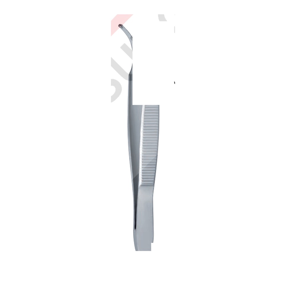 1:1 1:1 " 70 mm – 23/4 " 70 mm – 23/4 " 1 DF 03-293-01
