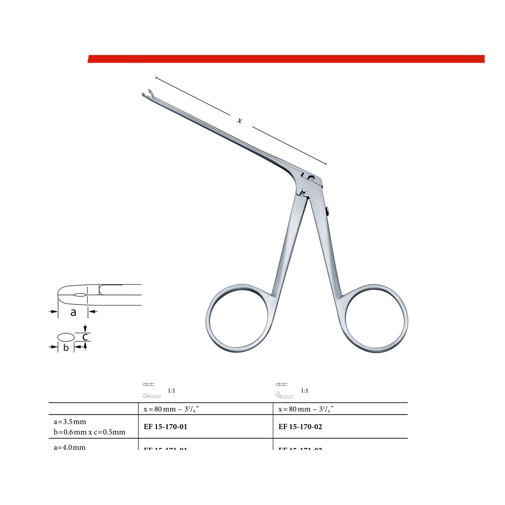 Belucci x = 4.0mm x 0.8mm, very fine, straight, sharp/sharp 75mm 1 EF 15-176-02