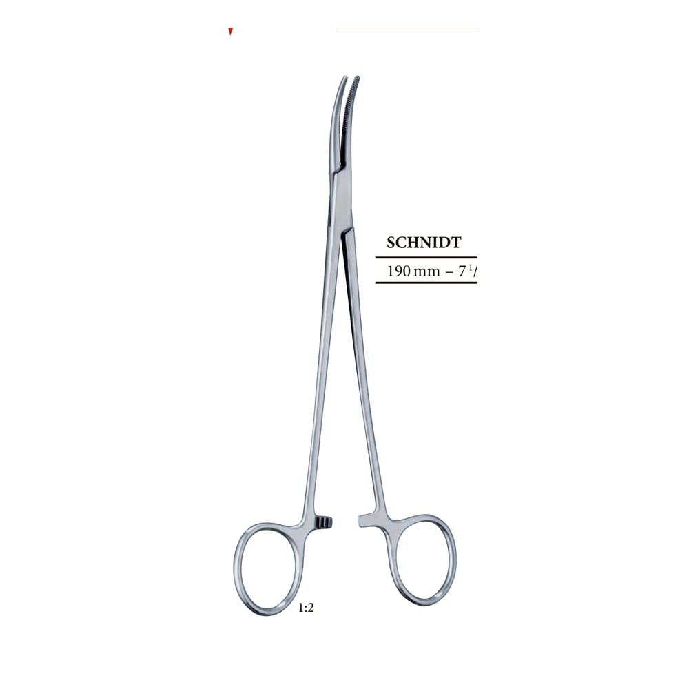 Schnidt Hemostatic Forceps — 190 mm (19 cm), Pattern 241 1 HF 04-241-01