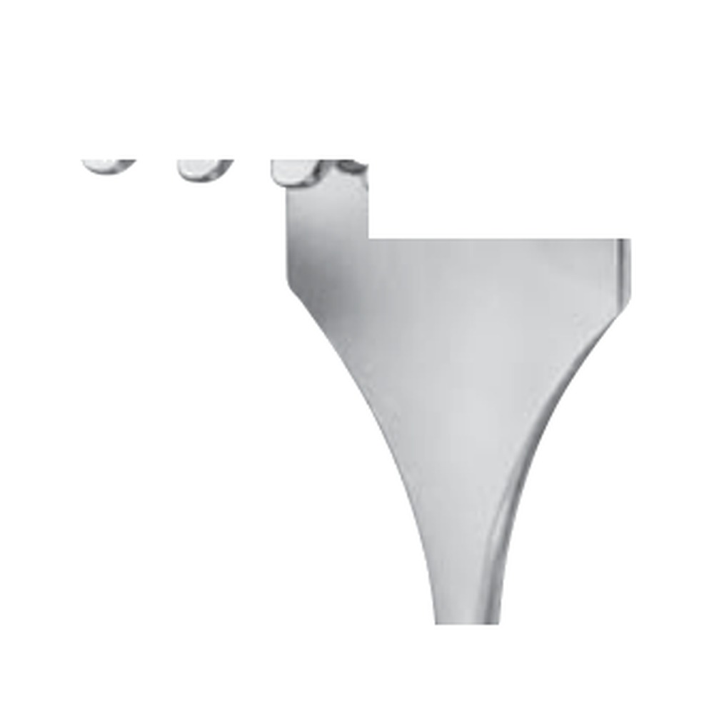 Israel 4 Teeth, a = 40 mm ? b = 40 mm RETRACTORS - Wound Retractors 1 RT 11-310-01