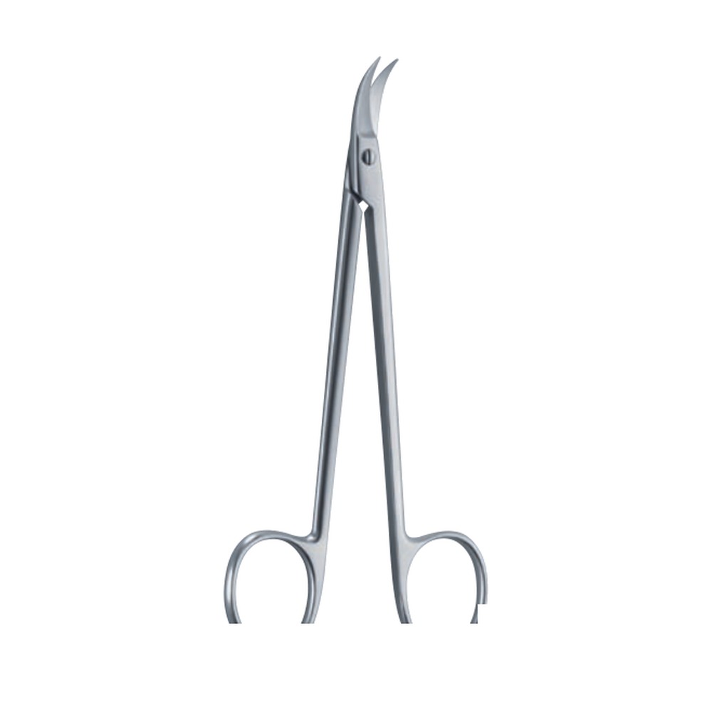 Quinby Fine Scissors — 12.5 cm 1 SC 02-190-01