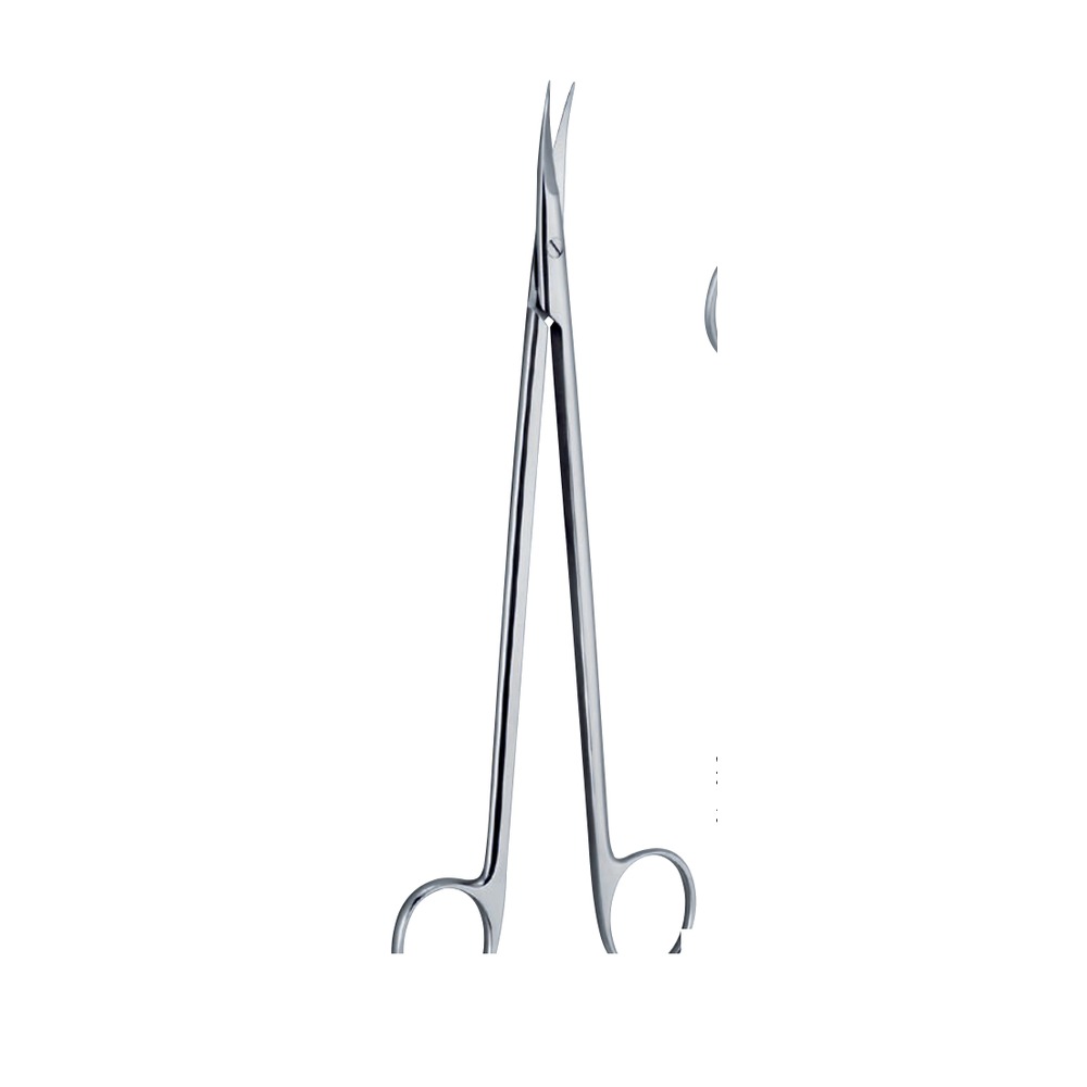 Strully Dura Scissors — 22 cm 1 SC 02-585-01